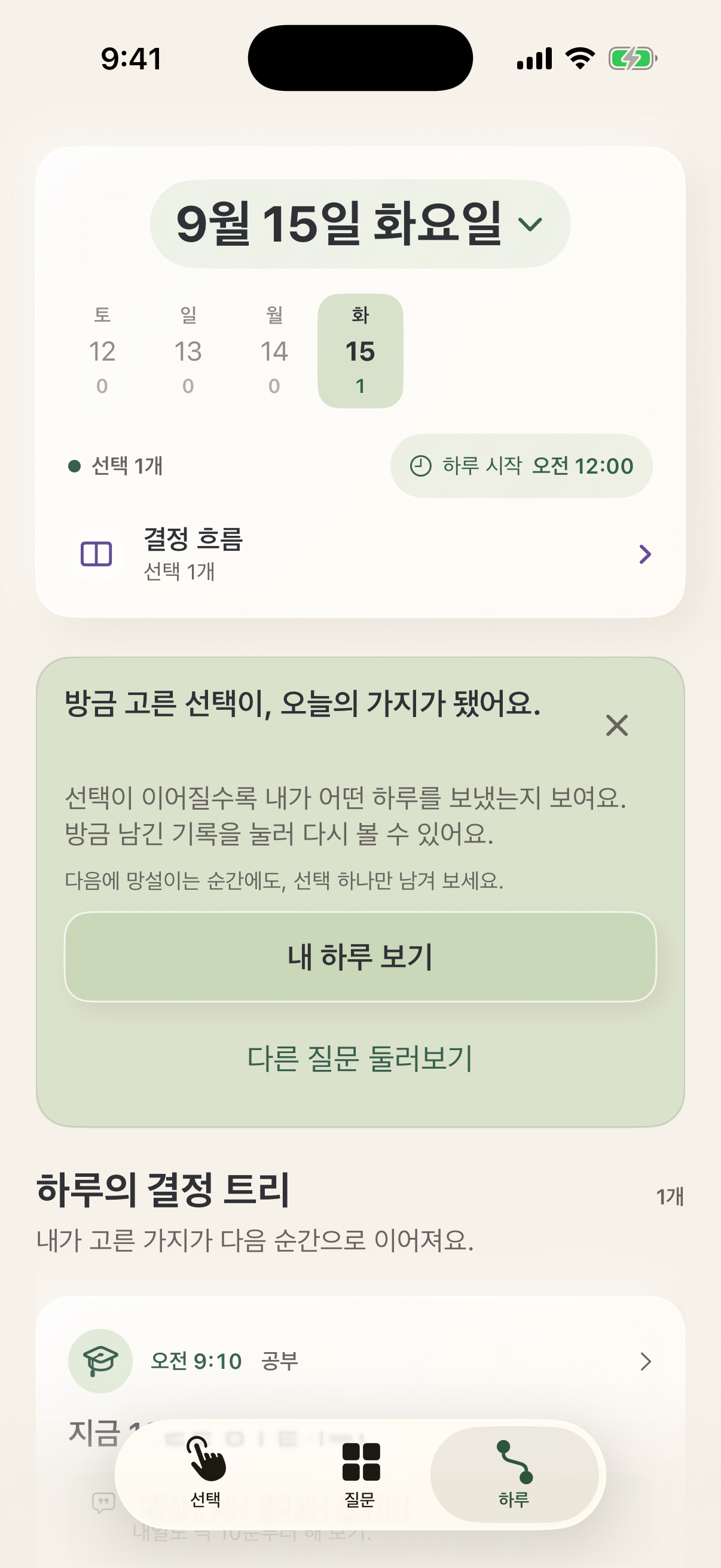 하루의 결정 트리와 첫 가지 안내가 보이는 Decision Point iPhone 화면